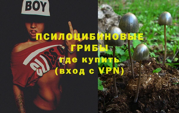 СК Верея