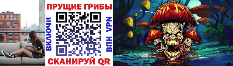 Псилоцибиновые грибы Psilocybe  Астрахань 